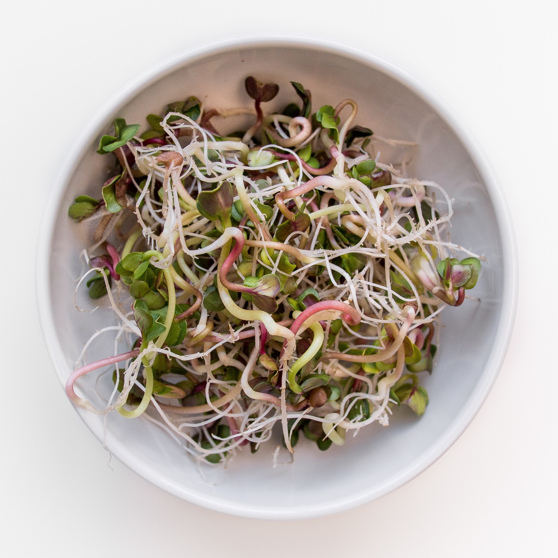 Kiełki miniwarzywa, które wyhodujesz w 5 dni DomowejRoboty